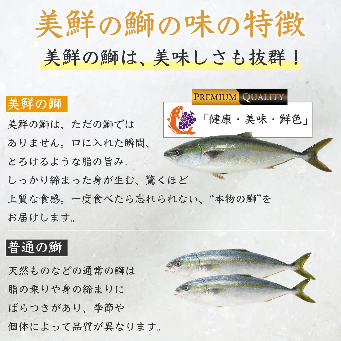 ④【愛媛のブランド鰤 美鮮の鰤】ポリフェノールで鮮度長持ち!ハーフロイン 約290g(1パック)|産地直送|冷蔵便