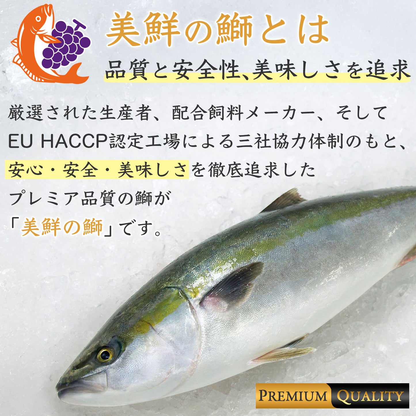 ⑯【愛媛のブランド鰤 美鮮の鰤】お出汁にさっと潜らせるだけ!絶品ぶりしゃぶスライス 140g×2パック(計280g)|刺身でもOK・冷凍便