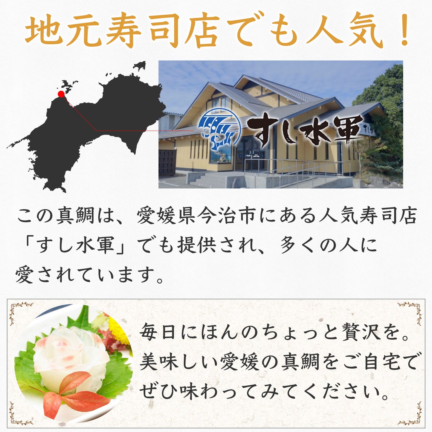 ㉑【愛媛のブランド鯛 美鮮の鯛】お祝いに最適 1.8kg一本|活〆 産地直送 冷蔵便