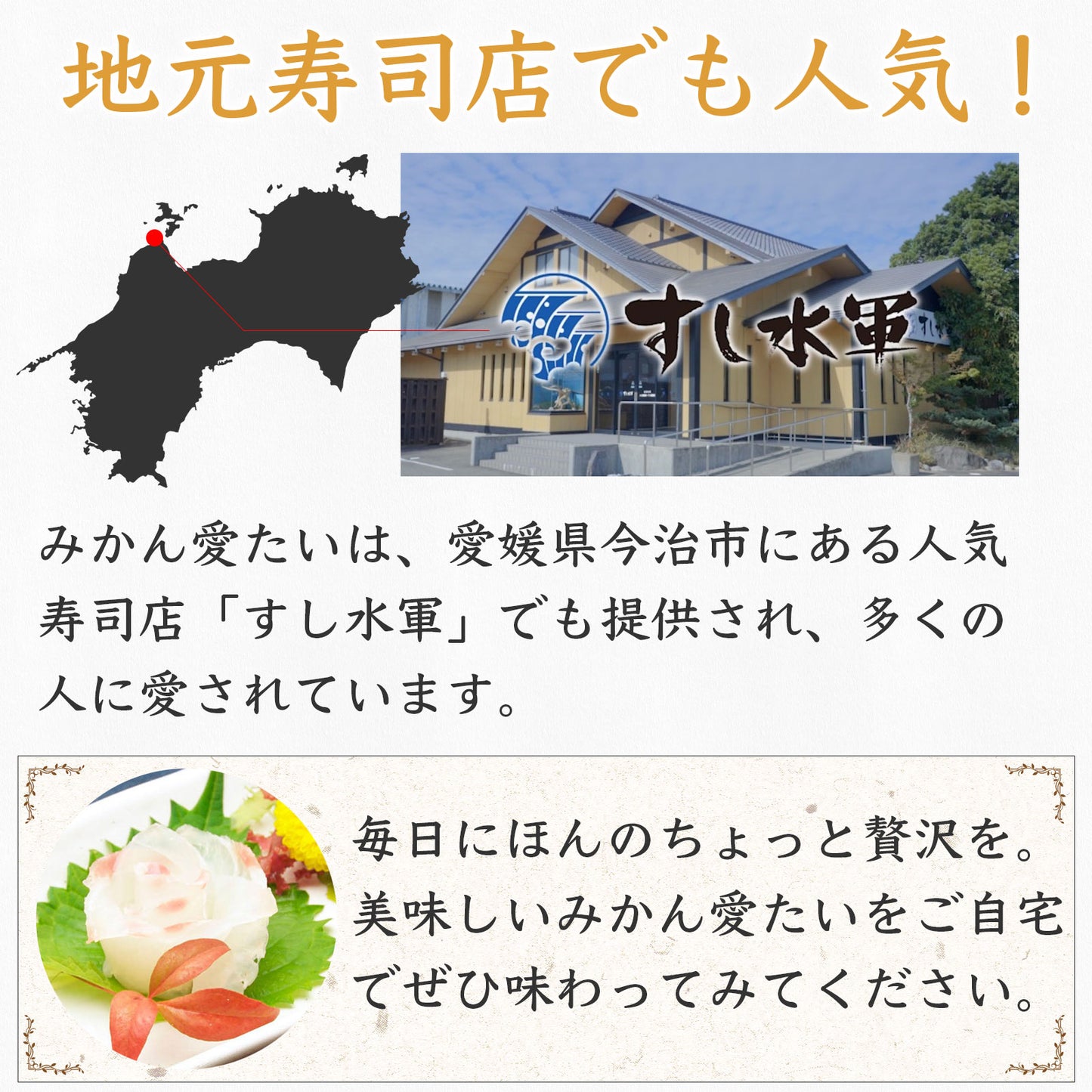 【柑橘香る愛媛のブランド鯛】みかん愛たい 1.8kgサイズ 1本 エラ・内臓除去済み(除去後1.2kg) セミドレス | 活〆 産地直送 冷蔵便  【No.34】