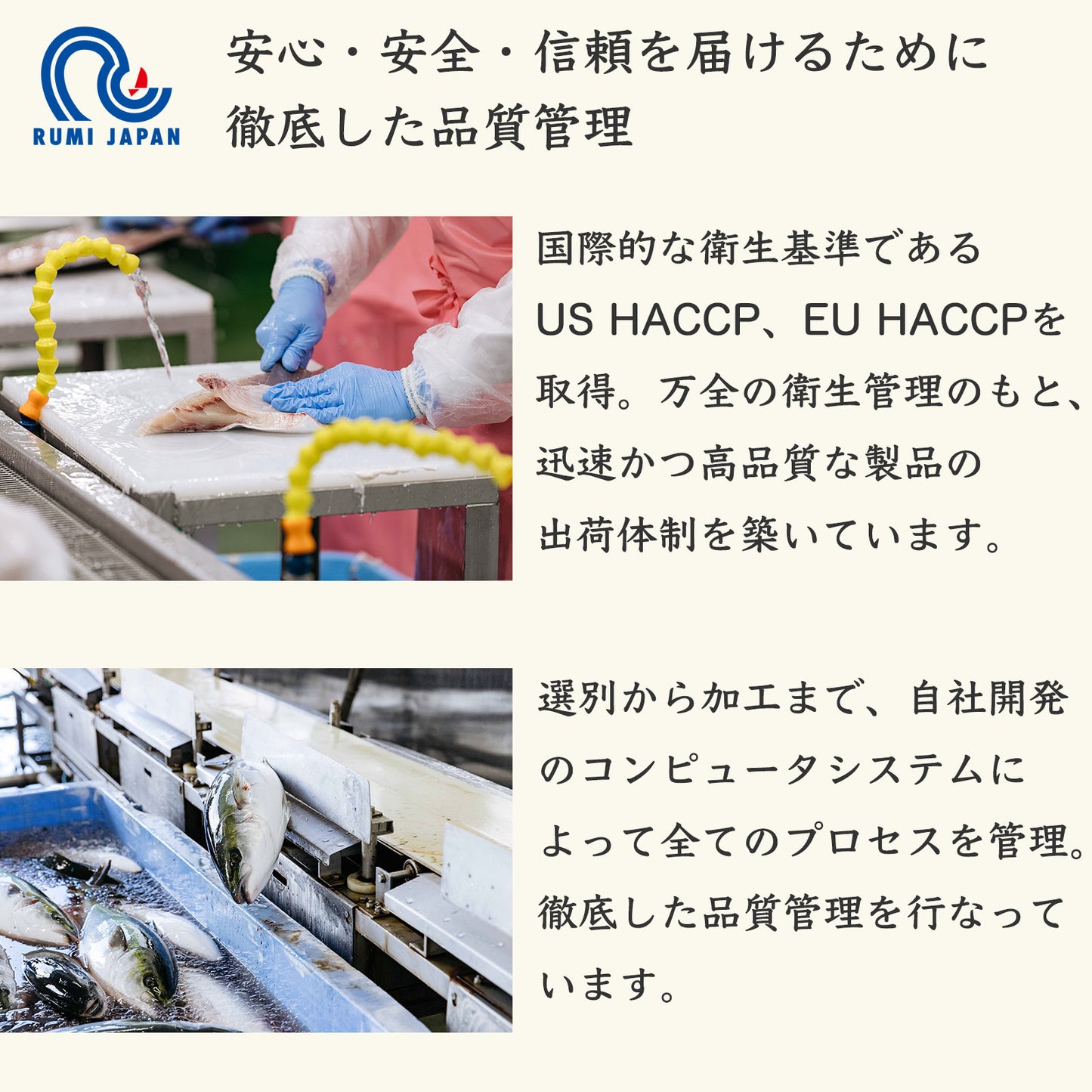 39【柑橘香る愛媛のブランド鯛】みかん愛たい 1.8kg 1本もの | 活〆 産地直送(選べる下処理)冷蔵便
