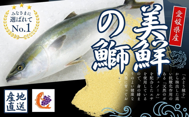 美鮮の鰤