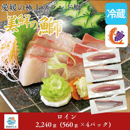 【愛媛のブランド鰤 美鮮の鰤】ロイン 2,240g（560×4パック）｜ポリフェノールで鮮度長持ち！｜産地直送｜冷蔵便 【No.10】