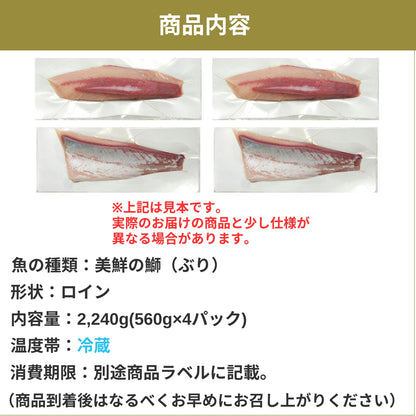 【愛媛のブランド鰤 美鮮の鰤】ロイン 2,240g（560×4パック）｜ポリフェノールで鮮度長持ち！｜産地直送｜冷蔵便 【No.10】
