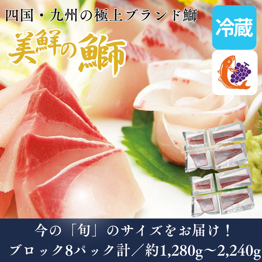 【刺身用・冷蔵】四国・九州産「美鮮の鰤（ブリ）」ハーフロイン（約1.28〜2.24kg／8パック）｜鮮度長持ち・臭みなし【No.06】