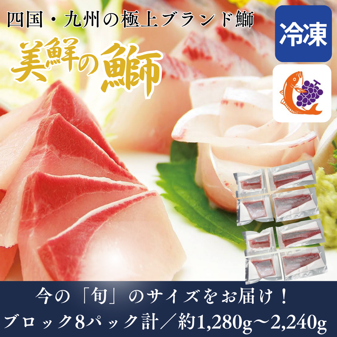 【刺身用・冷凍】四国・九州産「美鮮の鰤（ブリ）」ハーフロイン（約1.28〜2.24kg／8パック）｜鮮度長持ち・臭みなし【No.05】