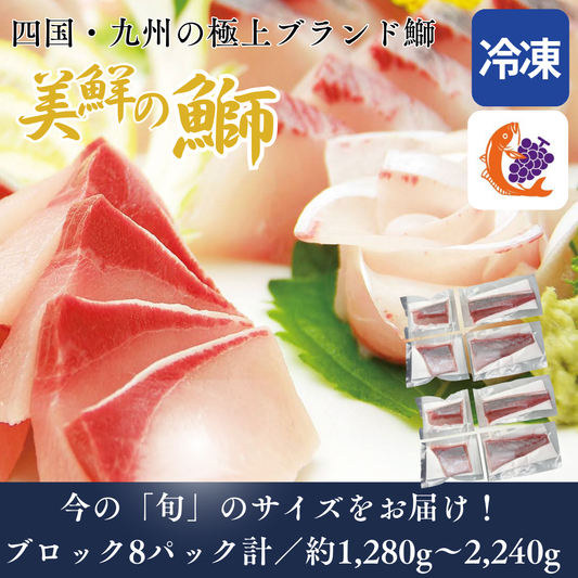 【刺身用・冷凍】四国・九州産「美鮮の鰤（ブリ）」ハーフロイン（約1.28〜2.24kg／8パック）｜鮮度長持ち・臭みなし【No.05】
