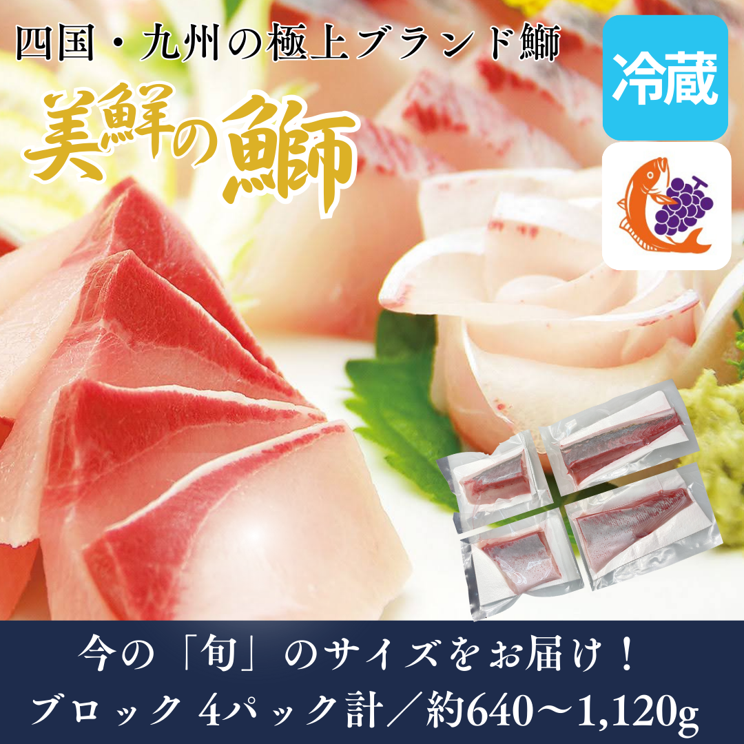 【刺身用・冷蔵】四国・九州産「美鮮の鰤（ブリ）」ハーフロイン（約0.64〜1.12kg／4パック）｜鮮度長持ち・臭みなし【No.04】