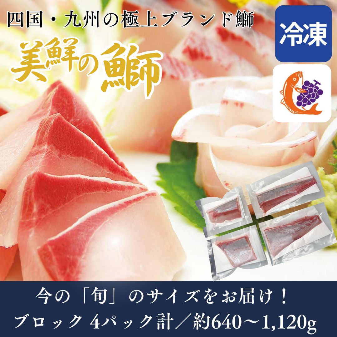【刺身用・冷凍】四国・九州産「美鮮の鰤（ブリ）」ハーフロイン（約0.64〜1.12kg／4パック）｜鮮度長持ち・臭みなし【No.03】