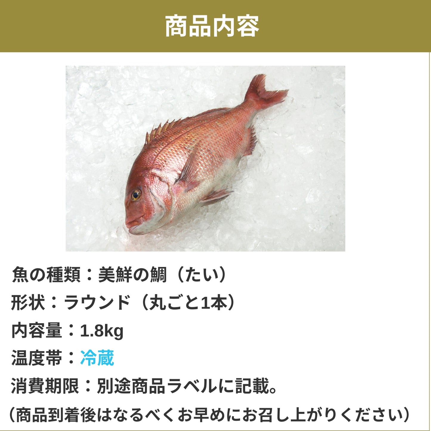 【愛媛のブランド鯛 美鮮の鯛】お祝いに最適 1.8kg一本｜活〆 産地直送 冷蔵便  【No.18】