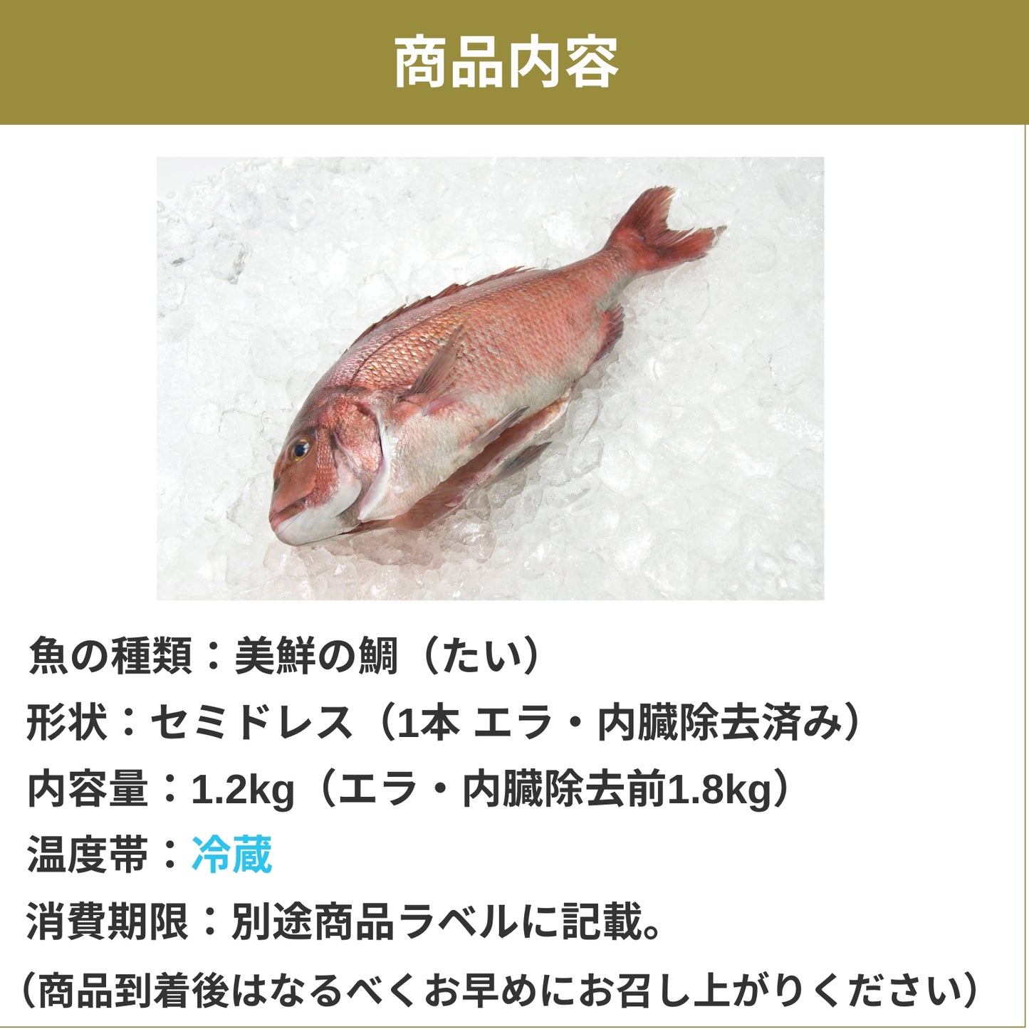 【愛媛のブランド鯛 美鮮の鯛】お祝いに最適 1.8kgサイズ1本  エラ・内臓除去済み セミドレス （除去後1.2kg）｜活〆 産地直送 冷蔵便  【No.19】