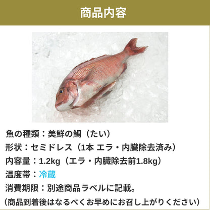 【愛媛のブランド鯛 美鮮の鯛】お祝いに最適 1.8kgサイズ1本  エラ・内臓除去済み セミドレス （除去後1.2kg）｜活〆 産地直送 冷蔵便  【No.19】