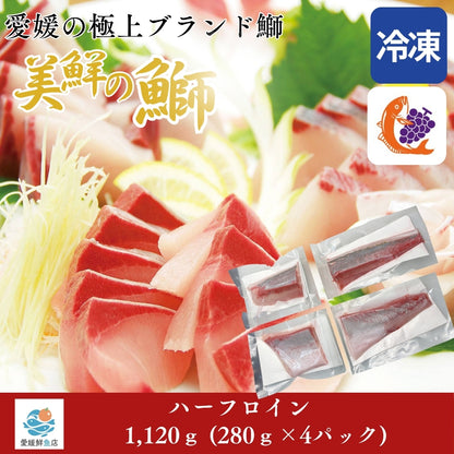 【愛媛のブランド鰤 美鮮の鰤】ハーフロイン 1,120g（280×4パック）｜ポリフェノールで鮮度長持ち！｜産地直送｜冷凍便 【No.03】