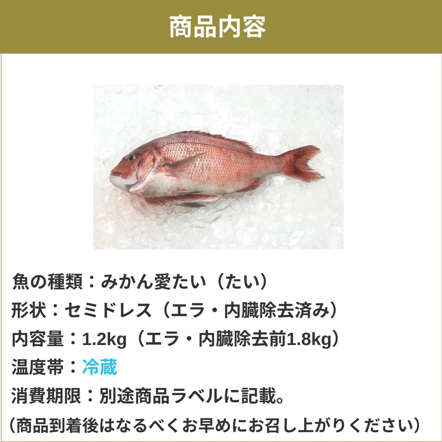 【柑橘香る愛媛のブランド鯛】みかん愛たい 1.8kgサイズ 1本 エラ・内臓除去済み（除去後1.2kg） セミドレス | 活〆 産地直送 冷蔵便  【No.34】