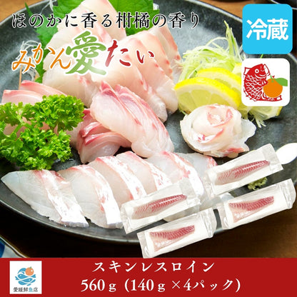 【愛媛のブランド真鯛 みかん愛たい】柑橘香るスキンレスロイン 約560g（4パック）｜産地直送 ｜冷蔵便  【No.36】