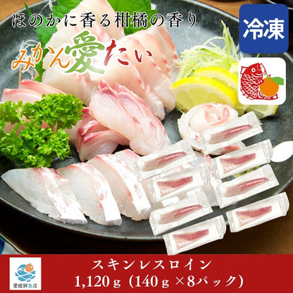 【愛媛のブランド真鯛 みかん愛たい】柑橘香るスキンレスロイン 約1,120g（8パック）｜産地直送 ｜冷凍便  【No.37】