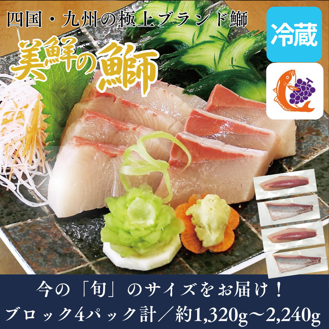 【刺身用・冷蔵】四国・九州産「美鮮の鰤（ブリ）」ロイン（約1.32〜2.24kg／4パック）｜鮮度長持ち・臭みなし【No.10】
