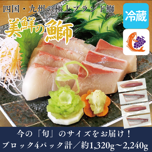 【刺身用・冷蔵】四国・九州産「美鮮の鰤（ブリ）」ロイン（約1.32〜2.24kg／4パック）｜鮮度長持ち・臭みなし【No.10】