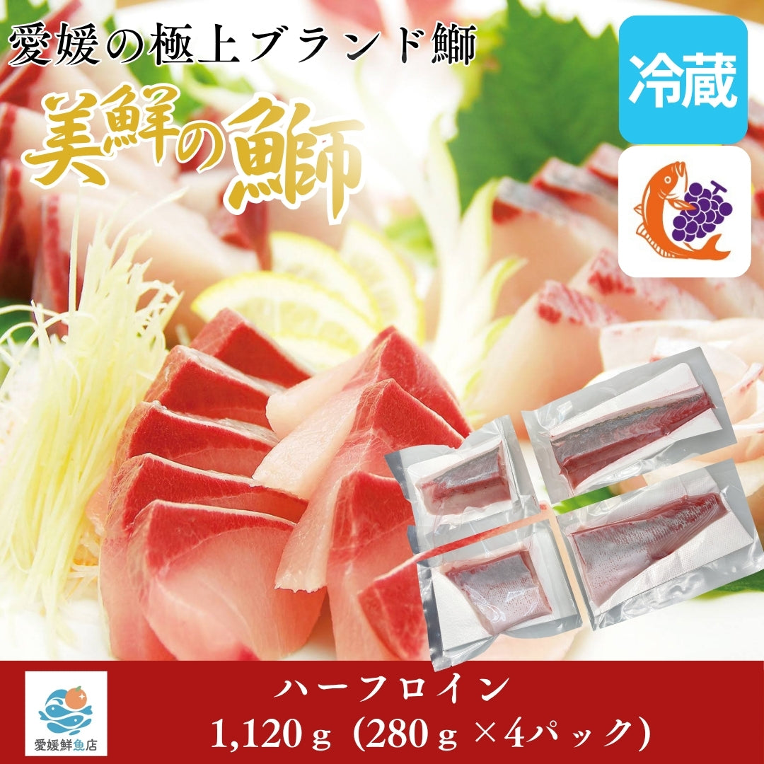 【愛媛のブランド鰤 美鮮の鰤】ハーフロイン 1,120g（280×4パック）｜ポリフェノールで鮮度長持ち！｜産地直送｜冷蔵便 【No.04】