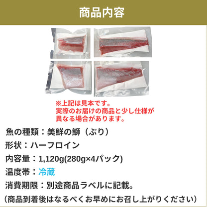 【愛媛のブランド鰤 美鮮の鰤】ハーフロイン 1,120g（280×4パック）｜ポリフェノールで鮮度長持ち！｜産地直送｜冷蔵便 【No.04】
