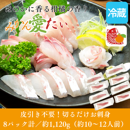 【刺身用・冷蔵】愛媛県産「みかん愛たい（真鯛）」スキンレスロイン（約1.12kg／8パック）｜柑橘香る旨み【No.38】