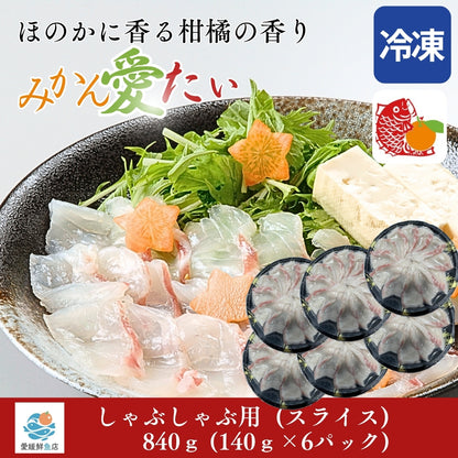 【愛媛のブランド鯛 みかん愛たい】柑橘香る絶品タイしゃぶスライス 140g×6パック（計840g）｜刺身でもOK・冷凍便  【No.45】