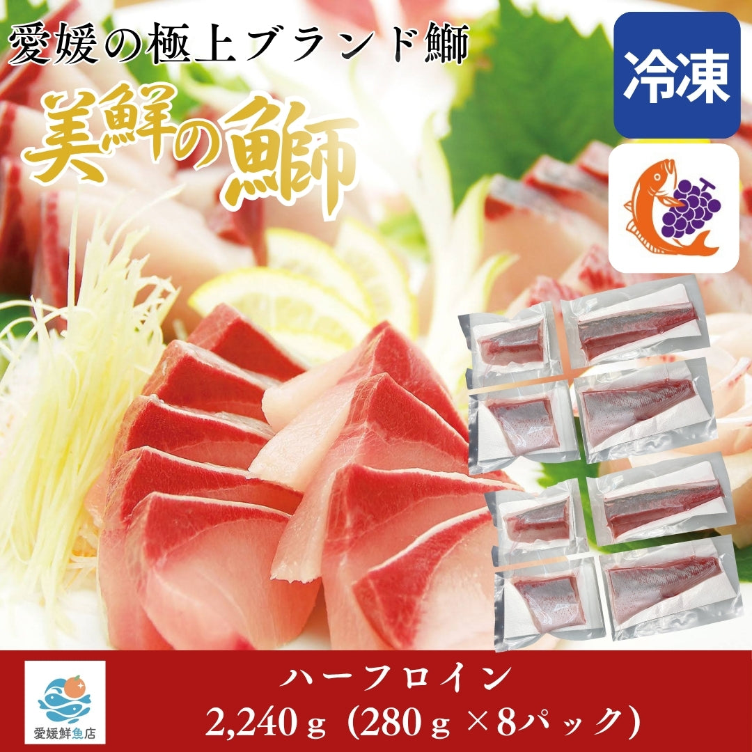 【愛媛のブランド鰤 美鮮の鰤】ハーフロイン 2,240g（280×8パック）｜ポリフェノールで鮮度長持ち！｜産地直送｜冷凍便 【No.05】