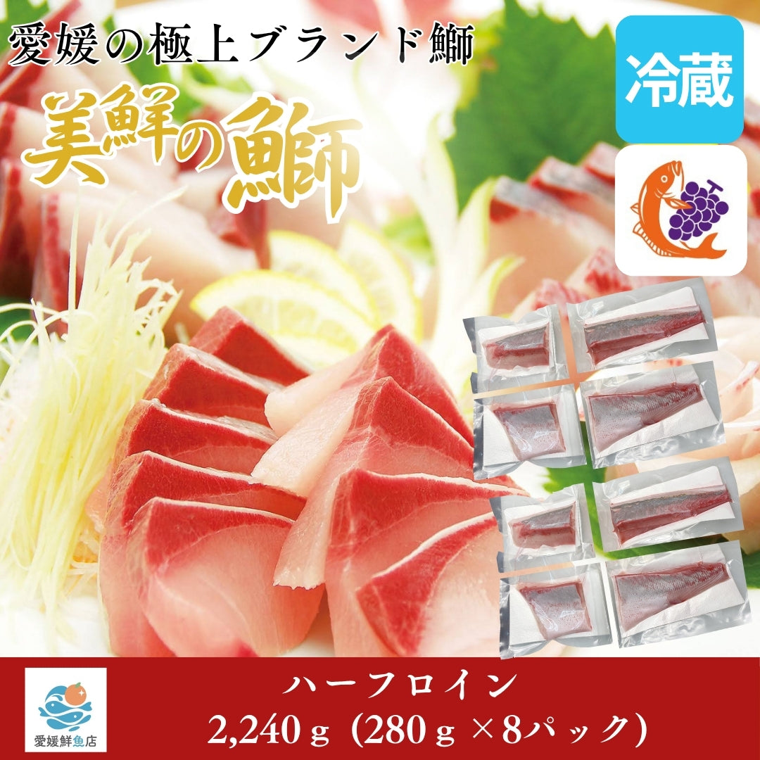 【愛媛のブランド鰤 美鮮の鰤】ハーフロイン 2,240g（280×8パック）｜ポリフェノールで鮮度長持ち！｜産地直送｜冷蔵便 【No.06】