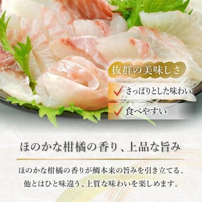 【数量限定】訳あり品 たい切り落とし 200g (1パック) 刺身・海鮮丼 みかん愛たい 冷凍便【No.50】