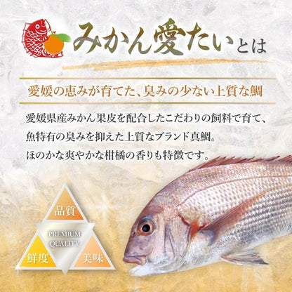 【数量限定】訳あり品 たい切り落とし 200g (1パック) 刺身・海鮮丼 みかん愛たい 冷凍便【No.50】