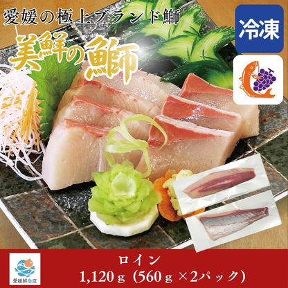 【愛媛のブランド鰤 美鮮の鰤】ロイン 1,120g（560×2パック）｜ポリフェノールで鮮度長持ち！｜産地直送｜冷凍便 【No.07】
