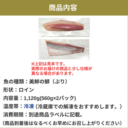 【愛媛のブランド鰤 美鮮の鰤】ロイン 1,120g（560×2パック）｜ポリフェノールで鮮度長持ち！｜産地直送｜冷凍便 【No.07】