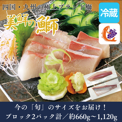 【刺身用・冷蔵】四国・九州産「美鮮の鰤（ブリ）」スキンレス ロイン（約0.66〜1.12kg／2パック計）｜鮮度長持ち・臭みなし【No.08】
