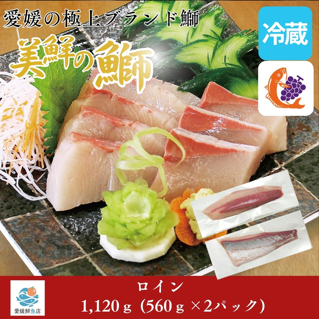 【愛媛のブランド鰤 美鮮の鰤】ロイン 1,120g（560×2パック）｜ポリフェノールで鮮度長持ち！｜産地直送｜冷蔵便 【No.08】