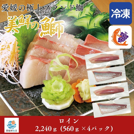 【愛媛のブランド鰤 美鮮の鰤】ロイン 2,240g（560×4パック）｜ポリフェノールで鮮度長持ち！｜産地直送｜冷凍便 【No.09】