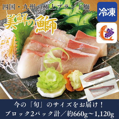 【刺身用・冷凍】四国・九州産「美鮮の鰤（ブリ）」ロイン（約0.66〜1.12kg／2パック）｜鮮度長持ち・臭みなし【No.07】