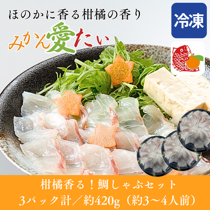 【しゃぶしゃぶ用】愛媛県産「みかん愛たい」スライス（3パック計／約420g）｜柑橘香る極上タイしゃぶ｜刺身OK｜冷凍便【No.44】