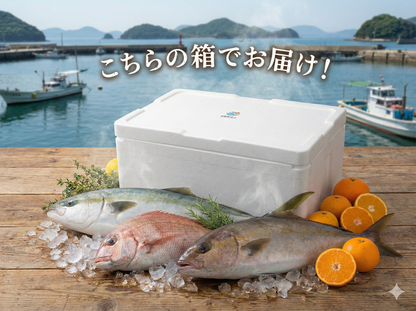 【刺身用】四国・九州産「美鮮の鰤」1本もの セミドレス（約3〜5kgサイズ／下処理後 約2.6〜4.3kg）｜活〆・エラ/内臓除去済み｜産地直送・冷蔵便【No.02】