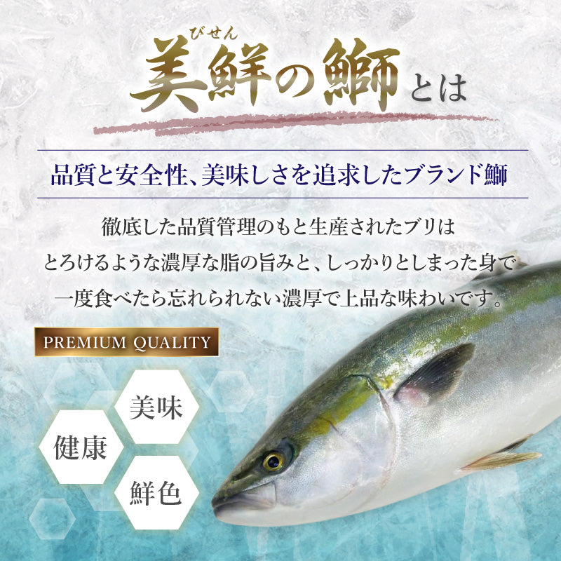 【数量限定】訳あり品 ぶり切り落とし 200g (1パック) 刺身・海鮮丼 美鮮の鰤 冷凍便【No.48】