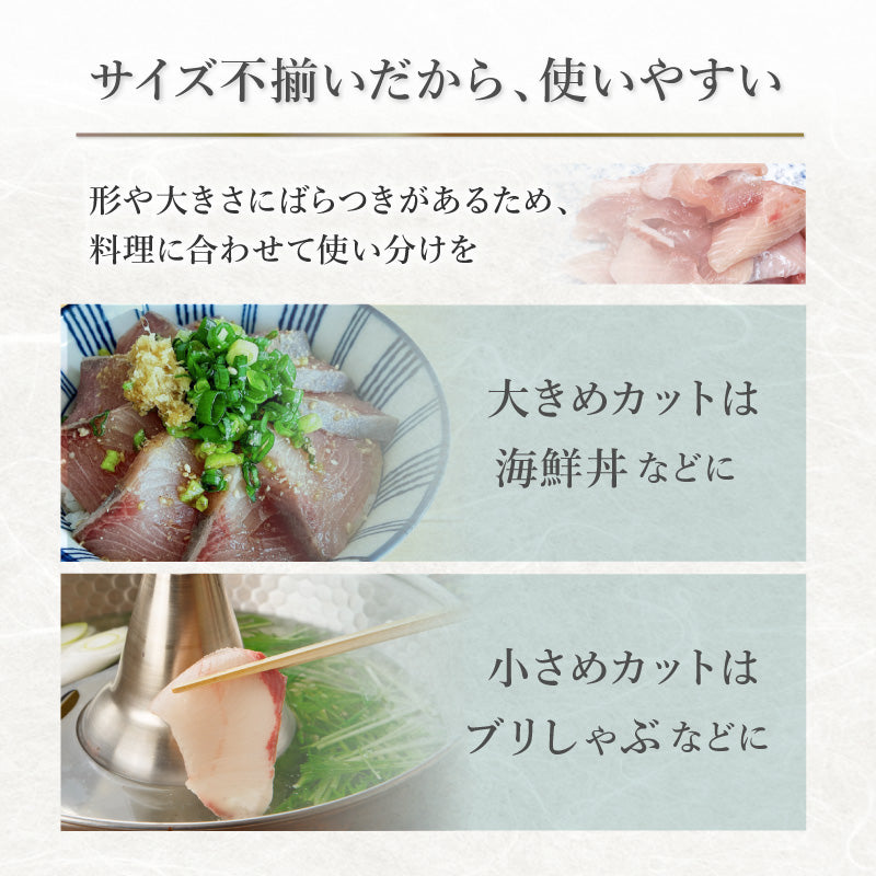 【数量限定】訳あり品 ぶり切り落とし 200g (1パック) 刺身・海鮮丼 美鮮の鰤 冷凍便【No.48】