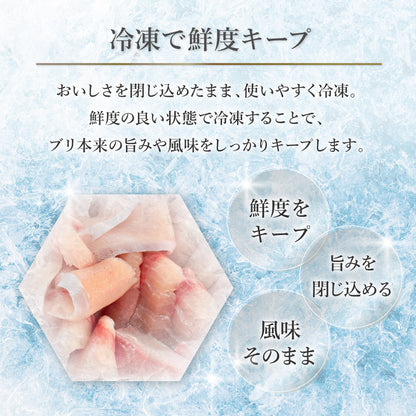 【数量限定】訳あり品 ぶり切り落とし 200g (1パック) 刺身・海鮮丼 美鮮の鰤 冷凍便【No.48】