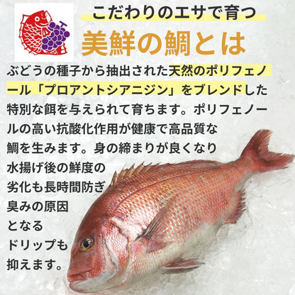 【しゃぶしゃぶ用】愛媛県産「美鮮の鯛」スライス（6パック計／約840g）｜さっと湯にくぐらせる絶品タイしゃぶ｜刺身OK｜冷凍便【No.32】