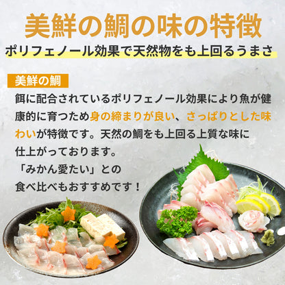 【しゃぶしゃぶ用】愛媛県産「美鮮の鯛」スライス（6パック計／約840g）｜さっと湯にくぐらせる絶品タイしゃぶ｜刺身OK｜冷凍便【No.32】