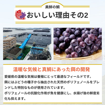 【しゃぶしゃぶ用】愛媛県産「美鮮の鯛」スライス（6パック計／約840g）｜さっと湯にくぐらせる絶品タイしゃぶ｜刺身OK｜冷凍便【No.32】
