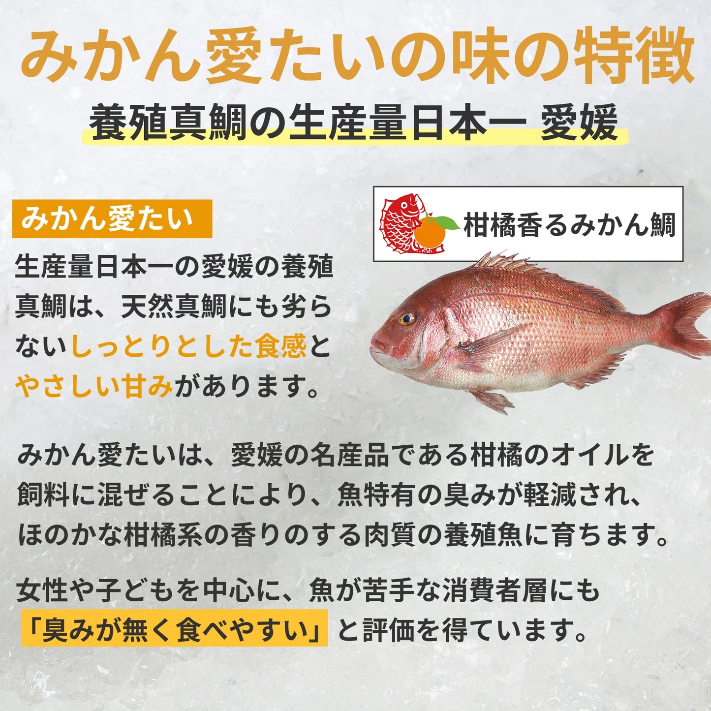 【刺身用・冷蔵】愛媛県産「みかん愛たい（真鯛）」スキンレスロイン（約0.56kg／4パック）｜柑橘香る旨み【No.36】
