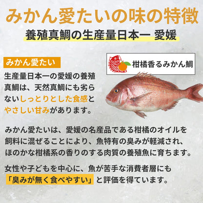 【刺身用・冷蔵】愛媛県産「みかん愛たい（真鯛）」スキンレスロイン（約0.56kg／4パック）｜柑橘香る旨み【No.36】