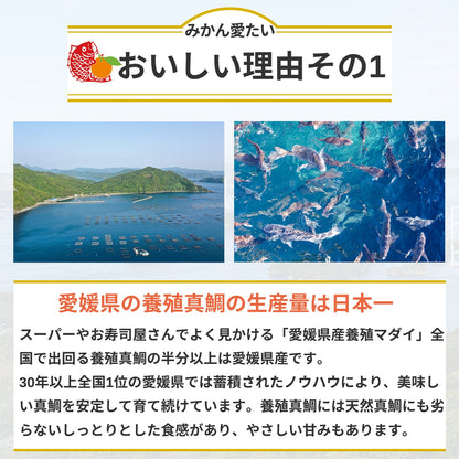 【刺身用・冷蔵】愛媛県産「みかん愛たい（真鯛）」スキンレスロイン（約0.56kg／4パック）｜柑橘香る旨み【No.36】