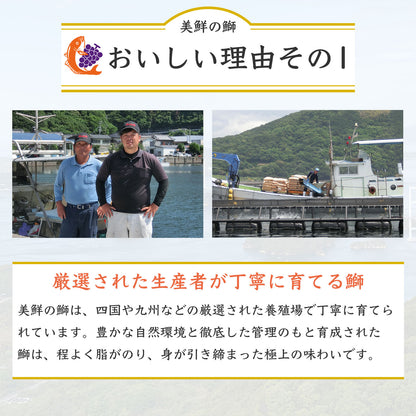 ①【愛媛のブランド鰤 美鮮の鰤】刺身用まるごと1本（約5kg）｜活〆・下処理選択可｜産地直送・冷蔵便