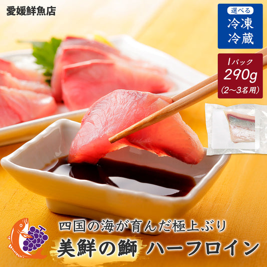 ④【愛媛のブランド鰤 美鮮の鰤】ポリフェノールで鮮度長持ち！ハーフロイン 約290g（1パック）｜産地直送｜冷蔵便