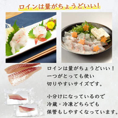 42【愛媛のブランド真鯛 みかん愛たい】柑橘香るスキンレスロイン 約280g（2パック）｜産地直送 ｜冷蔵便